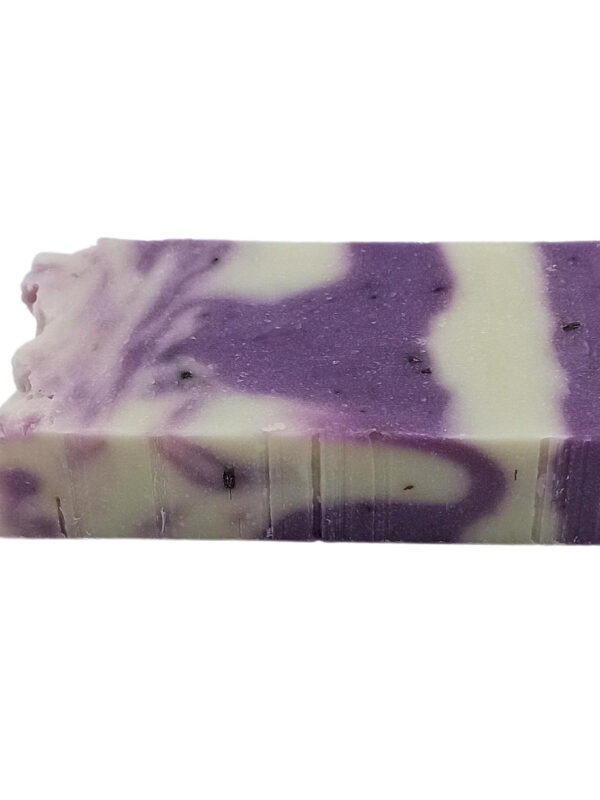 Lavendel
